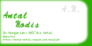 antal modis business card